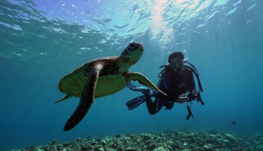 沖縄の海で楽しむ