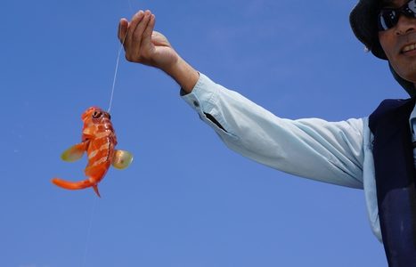 沖縄の海で美味しい魚を釣る。