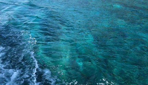 沖縄の船釣りでカラフルな魚を釣ろう！
