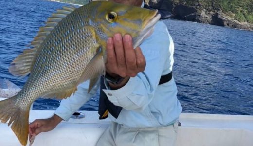 沖縄の船釣り。カラフルな魚釣れました。