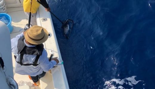 沖縄で船釣り乗り合いはお任せください。