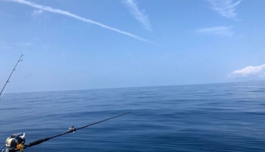 沖縄で釣り。先日の釣果。